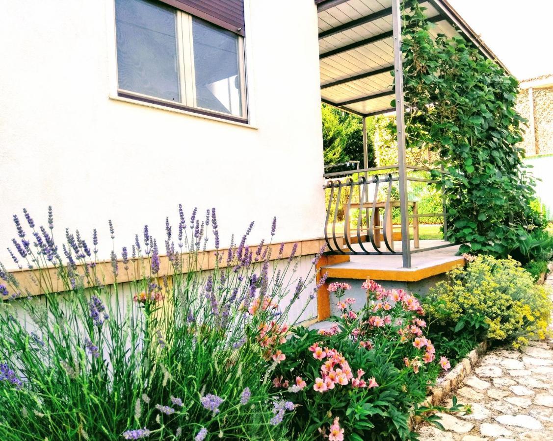 Apartments And Room Markovic Rovinjsko Selo Luaran gambar