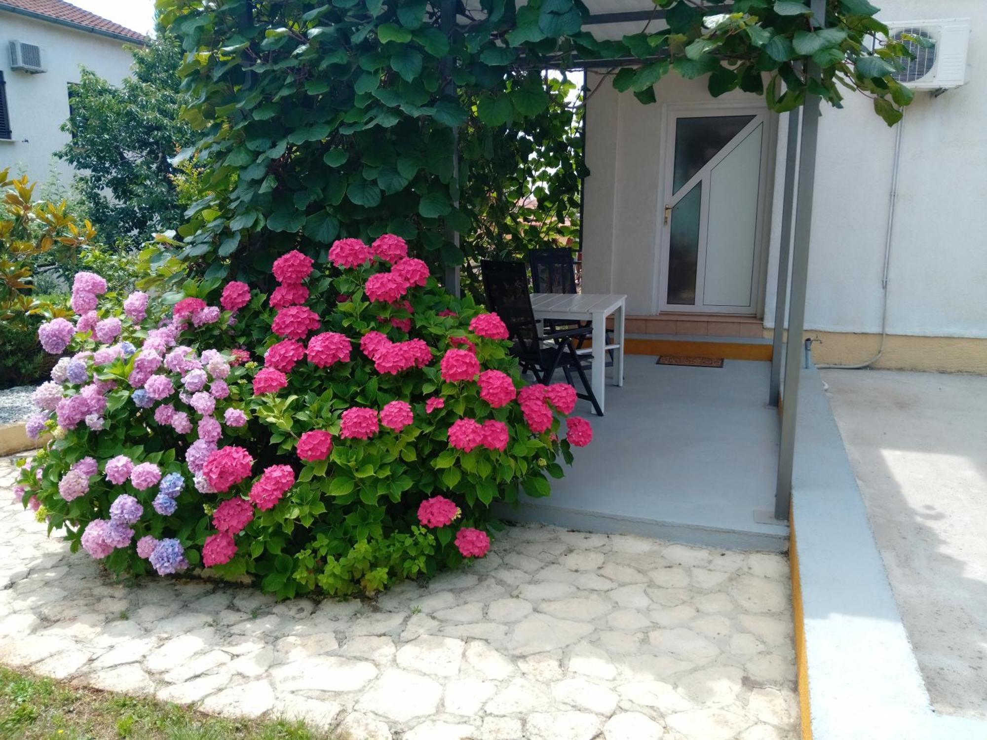 Apartments And Room Markovic Rovinjsko Selo Luaran gambar
