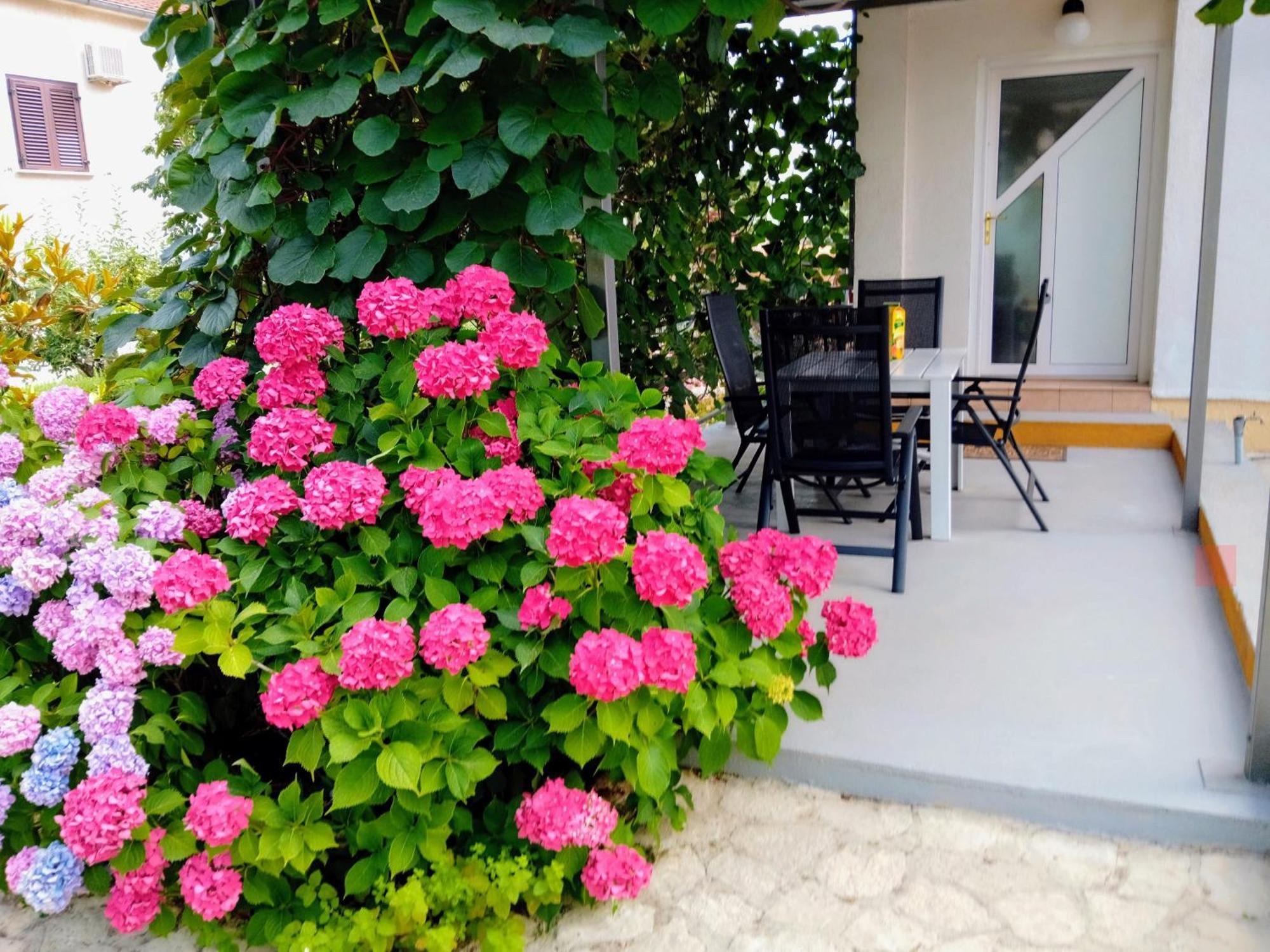 Apartments And Room Markovic Rovinjsko Selo Luaran gambar