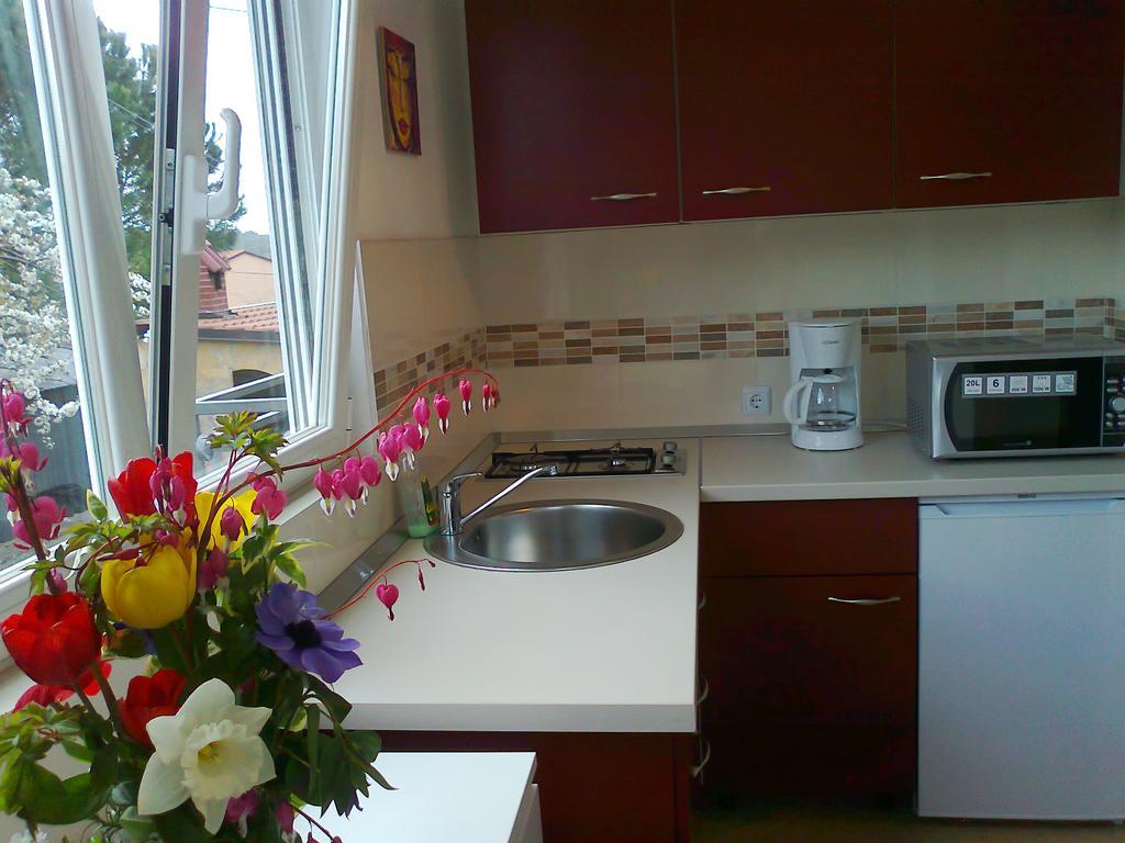 Apartments And Room Markovic Rovinjsko Selo Luaran gambar
