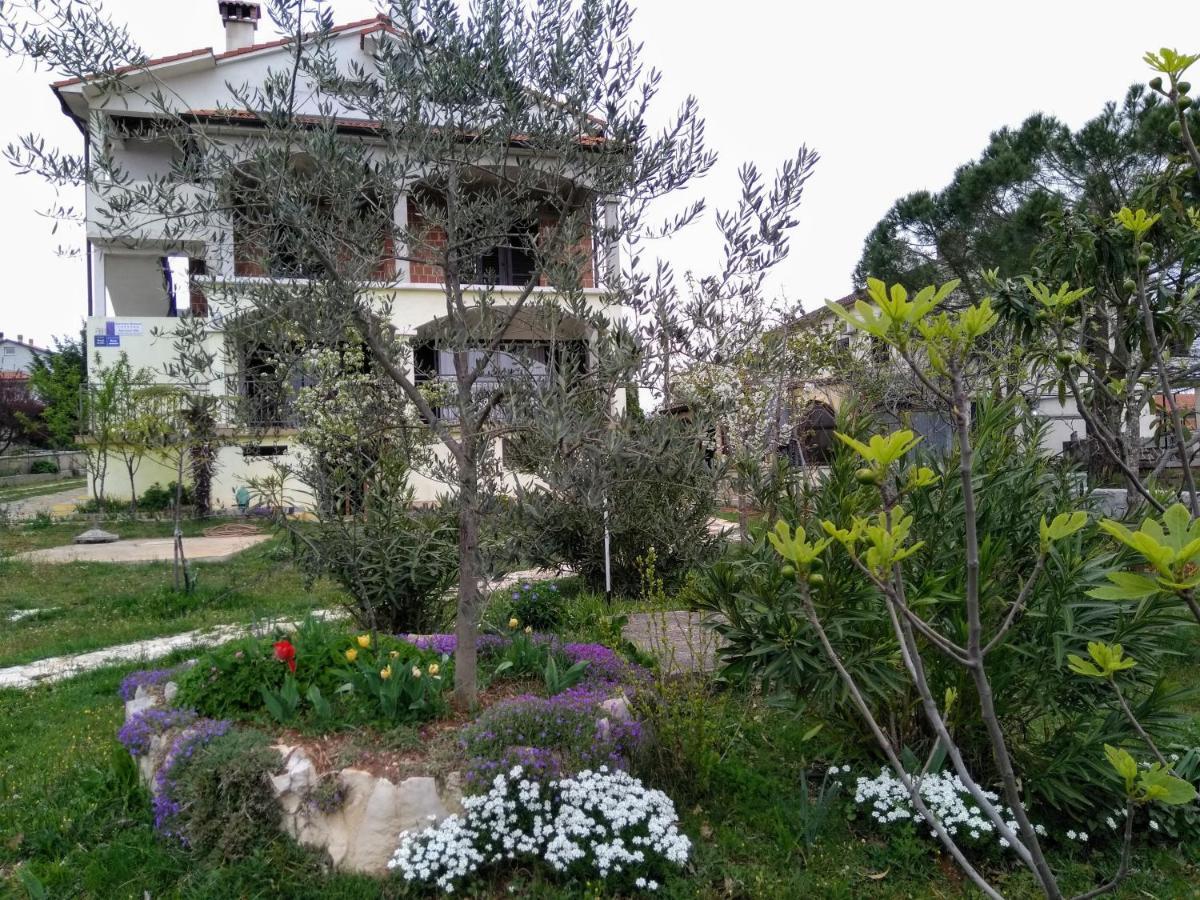 Apartments And Room Markovic Rovinjsko Selo Luaran gambar